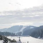 Glacier Premium Hotel *